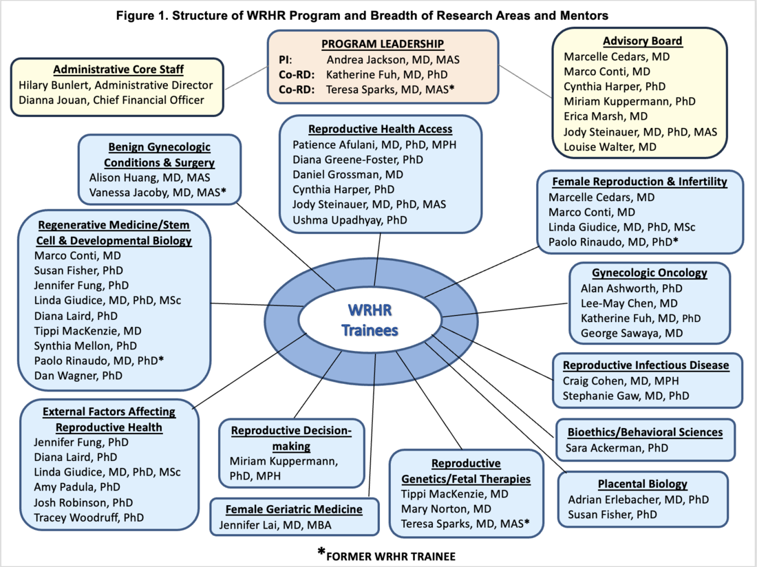 a graphic map of WRHR program's research areas and mentor