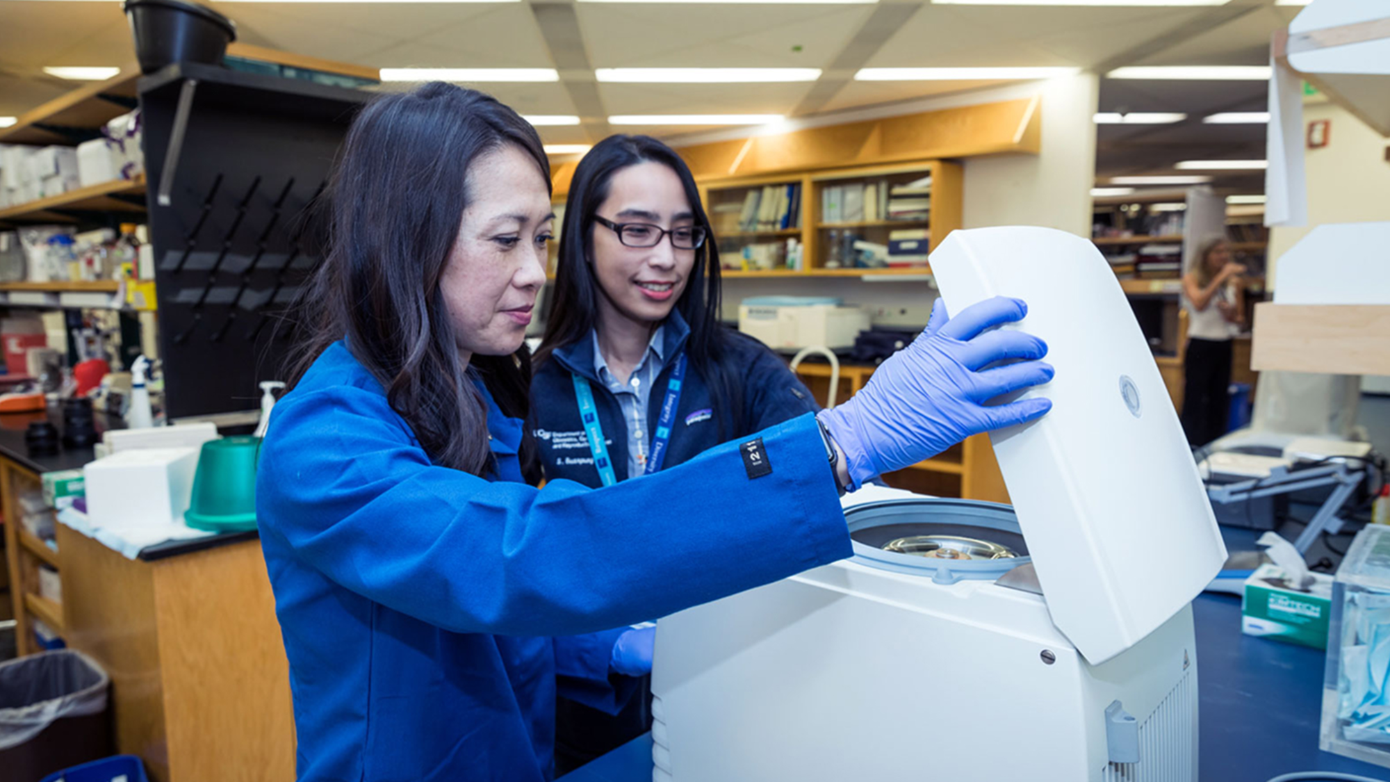 Working in a laboratory