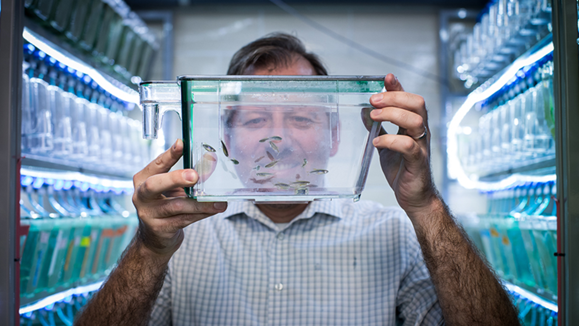 Dan Wagner and zebrafish