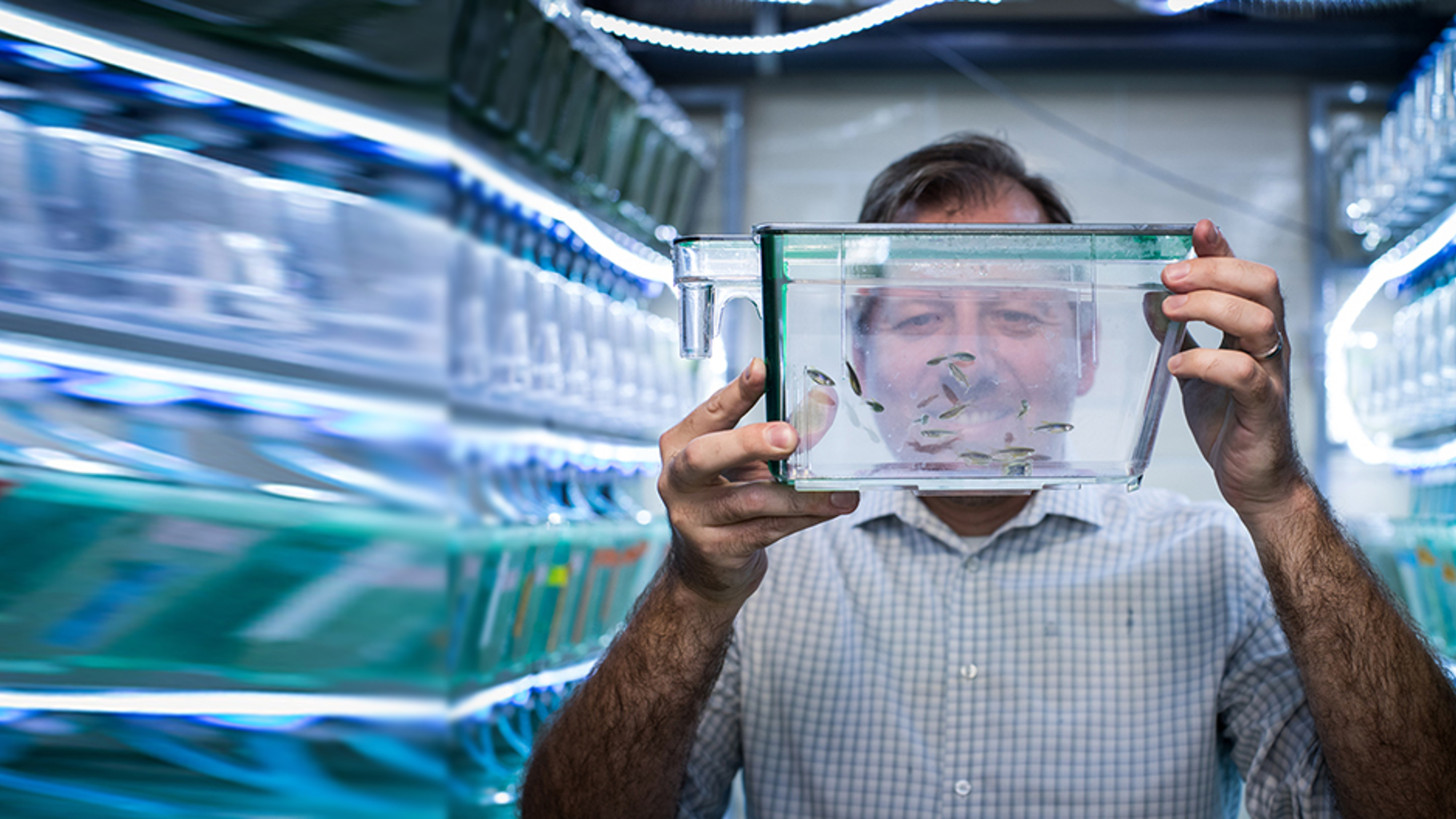 Dan Wagner and Zebrafish lab