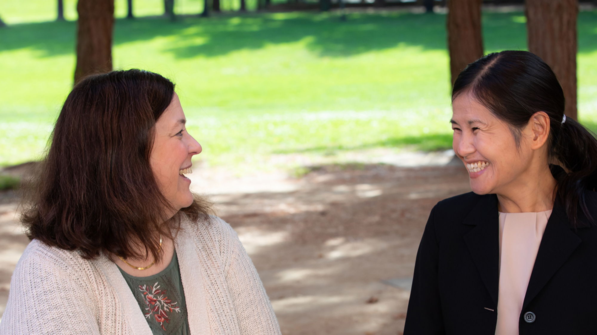 Division administrator leadership MB and Lan