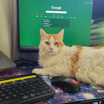 Alt text for Pancake