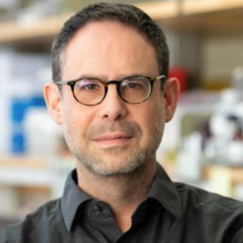 Adrian Erlebacher, MD, PhD