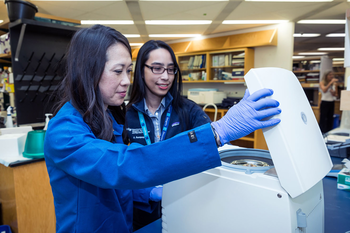 Working in a laboratory