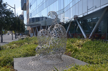 Owens Street Practice