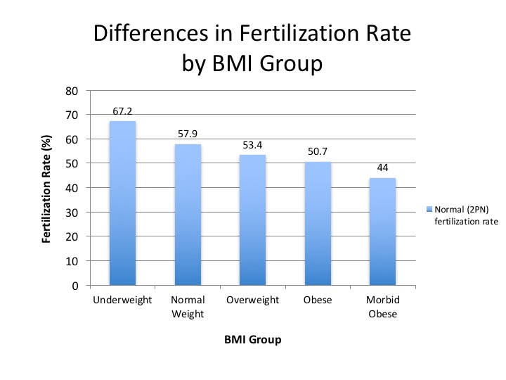 Higher BMI May Cause Problems for IVF