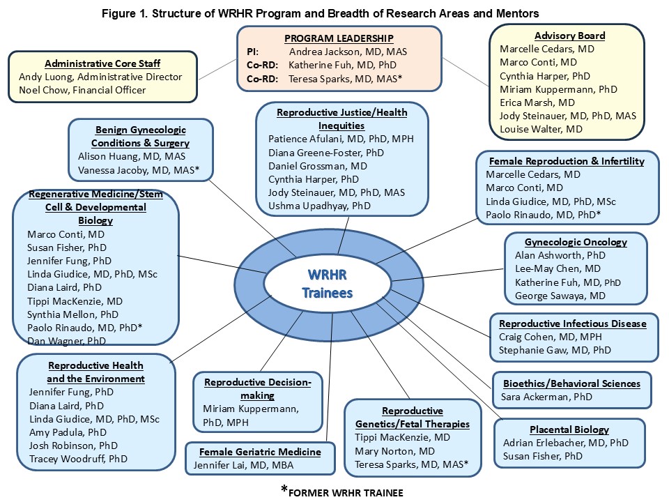 Structure of WRHR Program and Breadth of Research Areas and Mentors