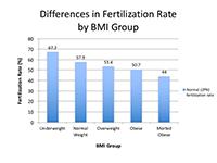 Higher BMI May Cause Problems for IVF