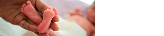PTBi banner Preterm Birth Fellowship Program