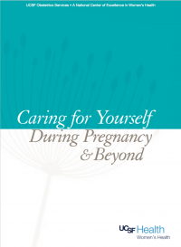 2019 Pregnancy Guidebook